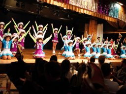 prunksitzung auerbach-8